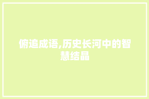 俯追成语,历史长河中的智慧结晶