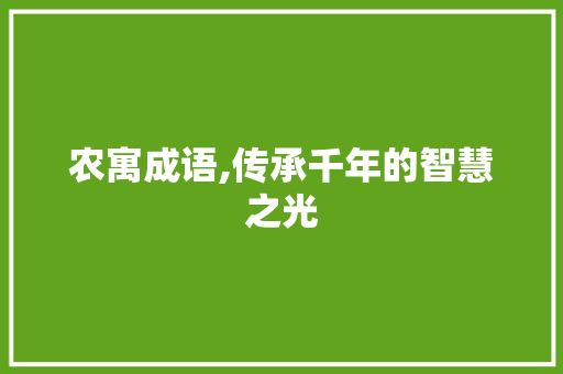 农寓成语,传承千年的智慧之光