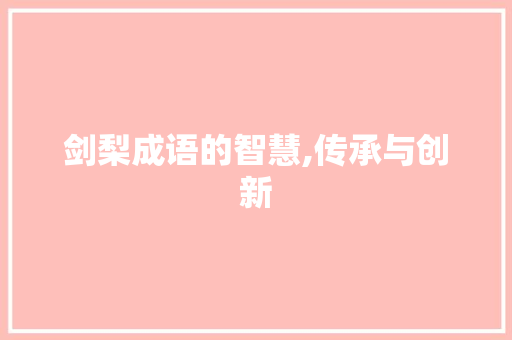 剑梨成语的智慧,传承与创新