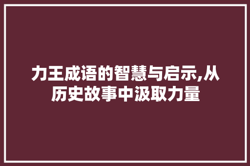 力王成语的智慧与启示,从历史故事中汲取力量