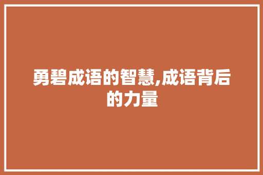勇碧成语的智慧,成语背后的力量