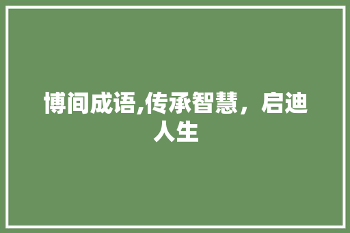 博间成语,传承智慧，启迪人生