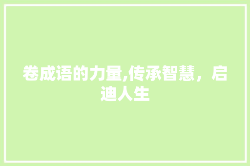 卷成语的力量,传承智慧，启迪人生 范文宝典