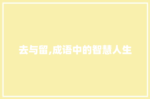 去与留,成语中的智慧人生 商业计划书范文