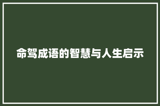 命驾成语的智慧与人生启示