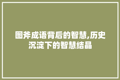 图斧成语背后的智慧,历史沉淀下的智慧结晶