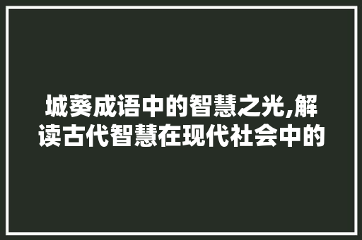 城葵成语中的智慧之光,解读古代智慧在现代社会中的应用