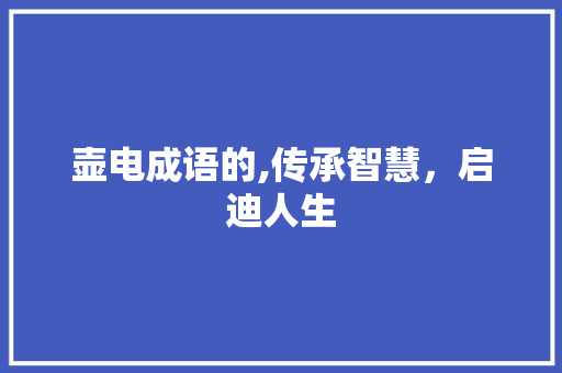 壶电成语的,传承智慧，启迪人生