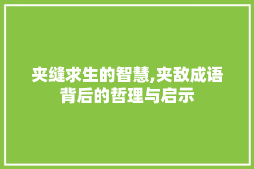 夹缝求生的智慧,夹敌成语背后的哲理与启示