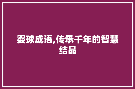 婴球成语,传承千年的智慧结晶
