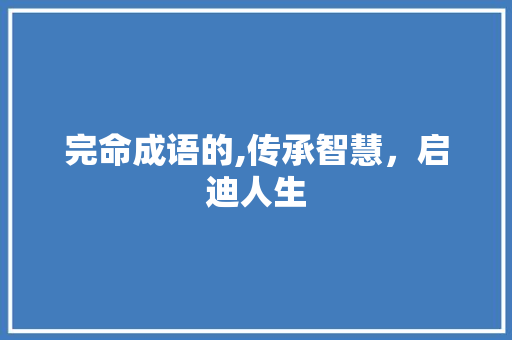 完命成语的,传承智慧，启迪人生