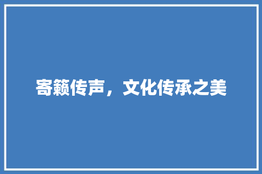 寄籁传声，文化传承之美