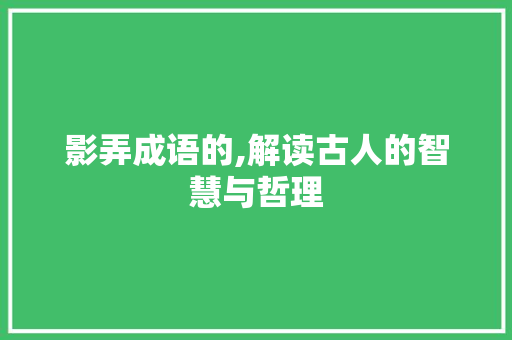 影弄成语的,解读古人的智慧与哲理