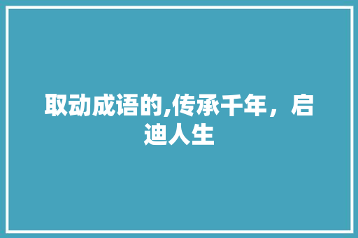 取动成语的,传承千年，启迪人生