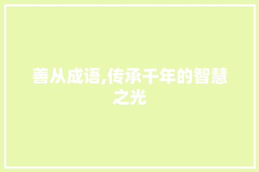 善从成语,传承千年的智慧之光