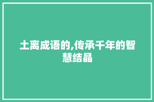 土离成语的,传承千年的智慧结晶