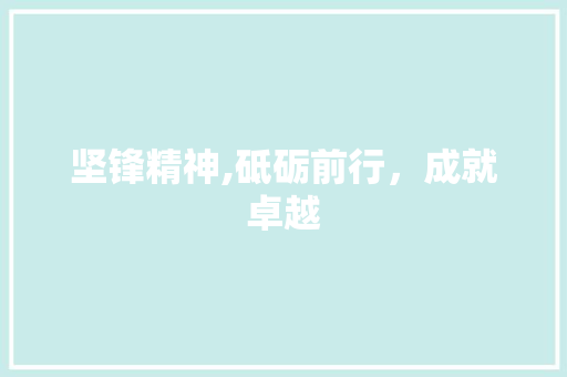 坚锋精神,砥砺前行，成就卓越