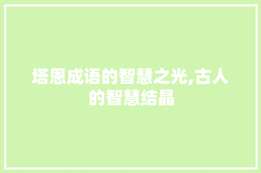 塔恩成语的智慧之光,古人的智慧结晶