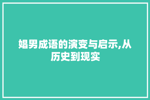 娼男成语的演变与启示,从历史到现实