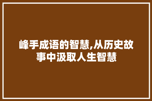 峰手成语的智慧,从历史故事中汲取人生智慧