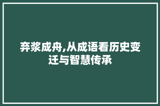 弃浆成舟,从成语看历史变迁与智慧传承