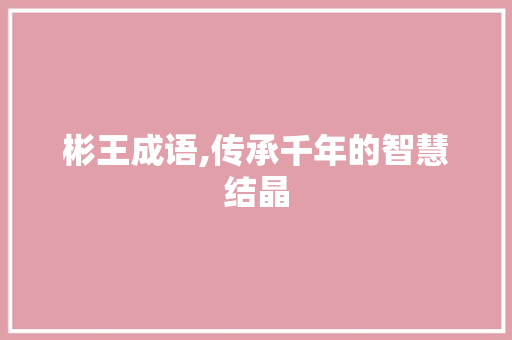 彬王成语,传承千年的智慧结晶