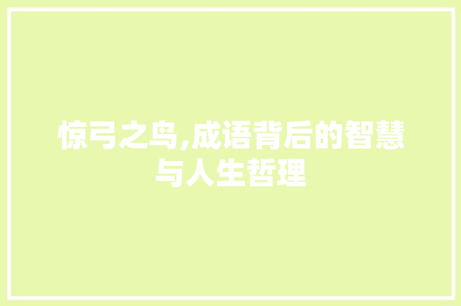 惊弓之鸟,成语背后的智慧与人生哲理