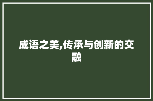 成语之美,传承与创新的交融