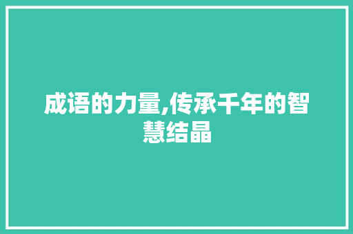 成语的力量,传承千年的智慧结晶