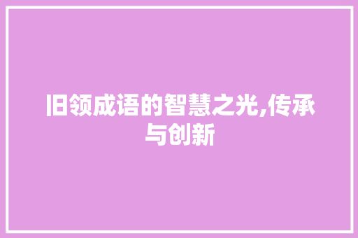 旧领成语的智慧之光,传承与创新
