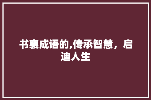 书襄成语的,传承智慧，启迪人生