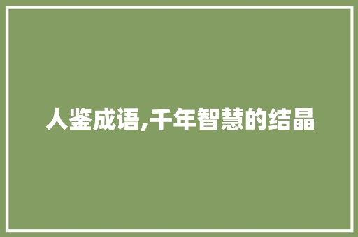 人鉴成语,千年智慧的结晶