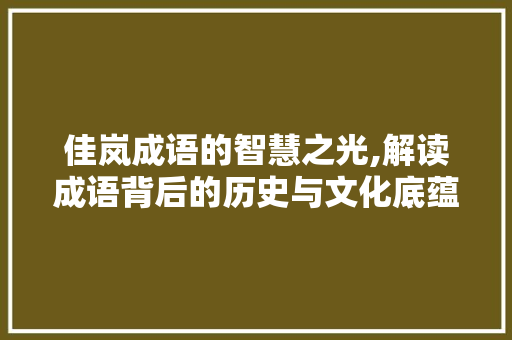 佳岚成语的智慧之光,解读成语背后的历史与文化底蕴