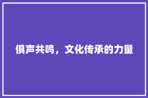 俱声共鸣，文化传承的力量