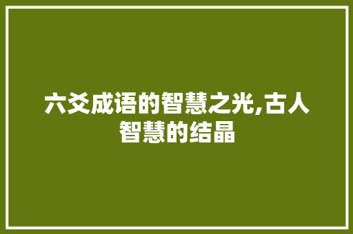 六爻成语的智慧之光,古人智慧的结晶