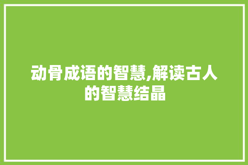 动骨成语的智慧,解读古人的智慧结晶