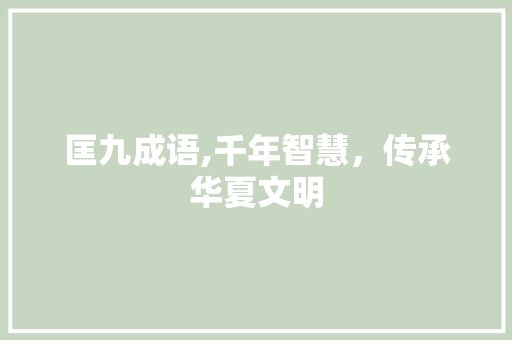 匡九成语,千年智慧，传承华夏文明