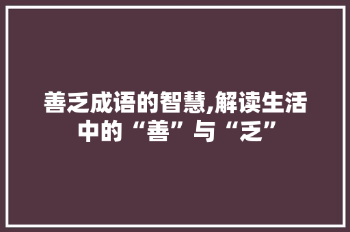 善乏成语的智慧,解读生活中的“善”与“乏”