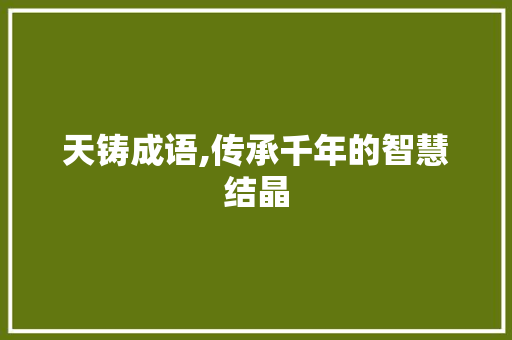天铸成语,传承千年的智慧结晶