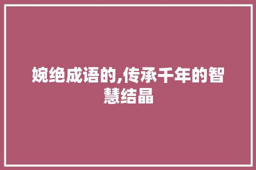 婉绝成语的,传承千年的智慧结晶