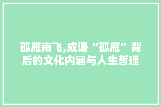 孤雁南飞,成语“孤雁”背后的文化内涵与人生哲理