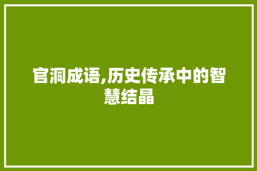 官洞成语,历史传承中的智慧结晶