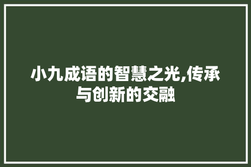 小九成语的智慧之光,传承与创新的交融