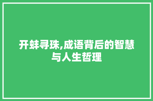 开蚌寻珠,成语背后的智慧与人生哲理