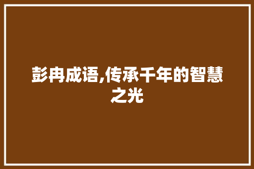 彭冉成语,传承千年的智慧之光