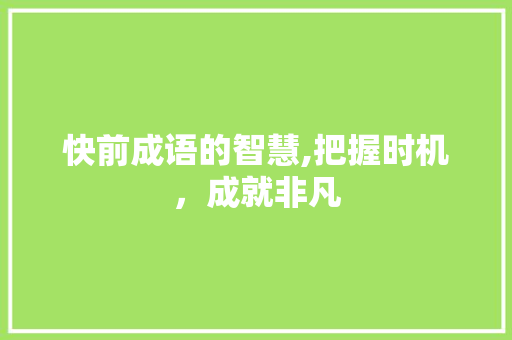 快前成语的智慧,把握时机，成就非凡