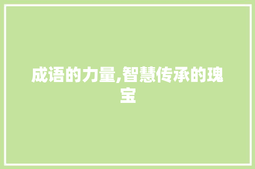 成语的力量,智慧传承的瑰宝