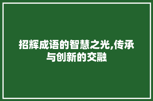 招辉成语的智慧之光,传承与创新的交融