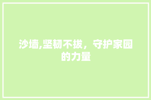 沙墙,坚韧不拔，守护家园的力量