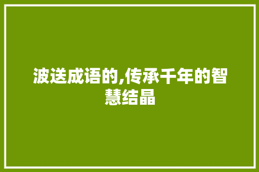 波送成语的,传承千年的智慧结晶 合同协议